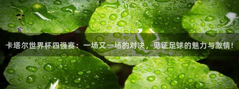 2026世预赛赛程表：卡塔尔世界杯四强赛：一场又一场的对决，见证足球的魅力与激情!