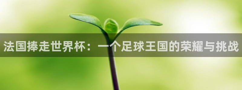 足球世界杯预选赛：法国捧走世界杯：一个足球王国的荣耀与挑战