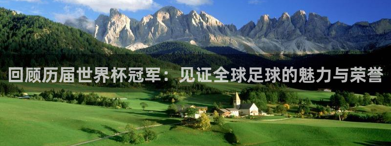 看世界杯：回顾历届世界杯冠军：见证全球足球的魅力与荣誉