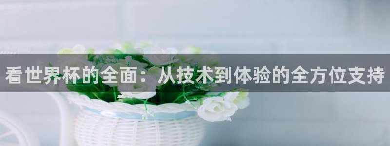 看世界杯：看世界杯的全面：从技术到体验的全方位支持