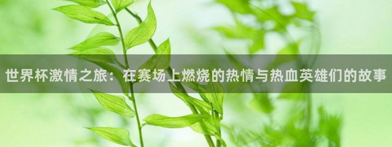 世界杯第一场比赛：世界杯激情之旅：在赛场上燃烧的热情与热血英雄们的故事