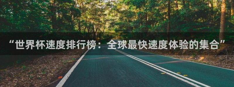 足球世界杯时间：“世界杯速度排行榜：全球最快速度体验的集合”