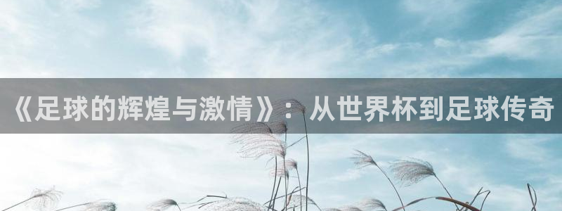 世界杯2026赛程表：《足球的辉煌与激情》：从世界杯到足球传奇