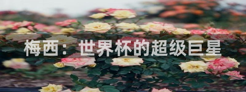 欧联杯直播：梅西：世界杯的超级巨星